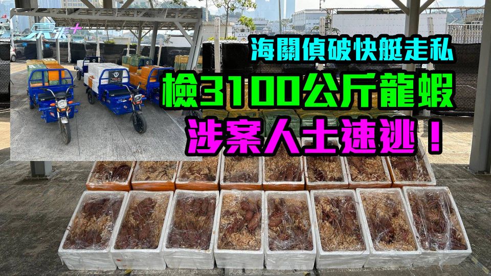 巿值124萬｜海關偵破快艇走私檢3100公斤龍蝦　涉案人士速逃