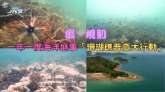 潛．規則｜一年一度海洋盛事「珊瑚礁普查大行動」