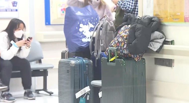 美麗華旅遊港人領隊上海遇車禍身亡