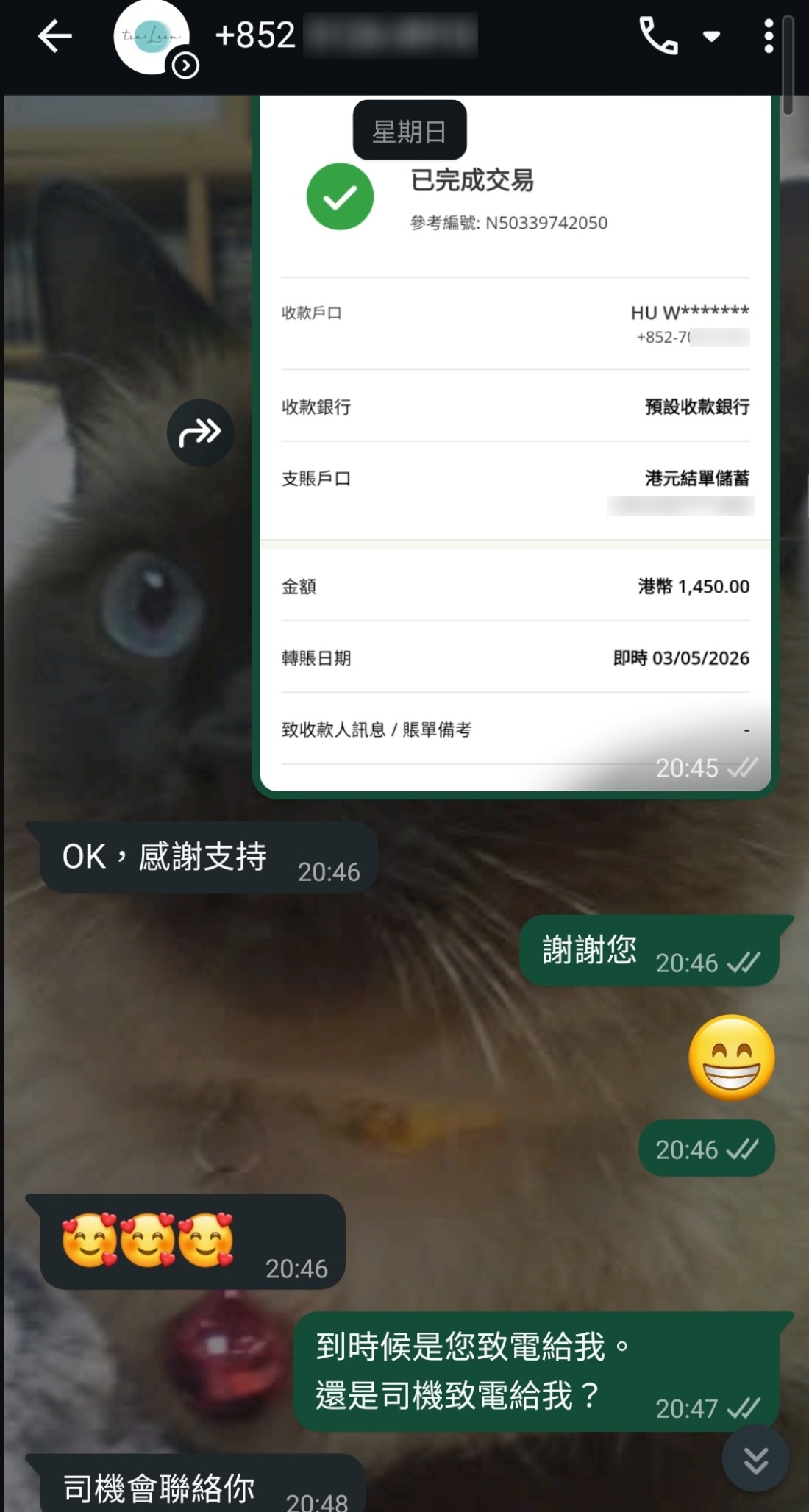 東張西望報料｜再有人網店訂蛋糕中伏損千逾千元　觀眾報料呻警方無暇：重處理緊上半年騙案 （報料人提供）