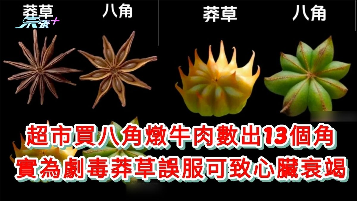 超市買八角燉牛肉數出13個角 實為劇毒莽草誤服可致心臟衰竭 