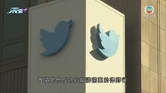 馬斯克終止收購Twitter 據報雙方積極準備法庭對決