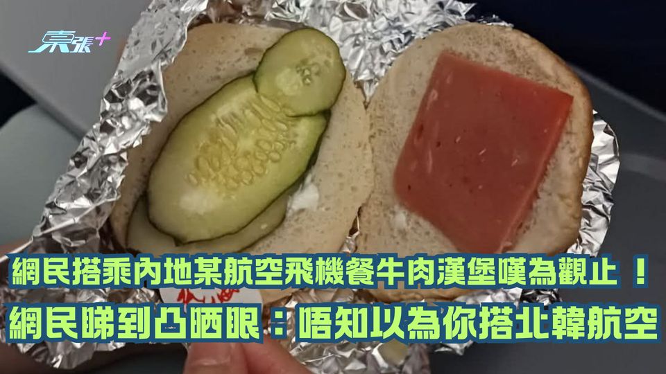 搭乘內地某航空飛機餐牛肉漢堡「嘆為觀止 」！網民睇到凸晒眼：唔知以為你搭北韓航空