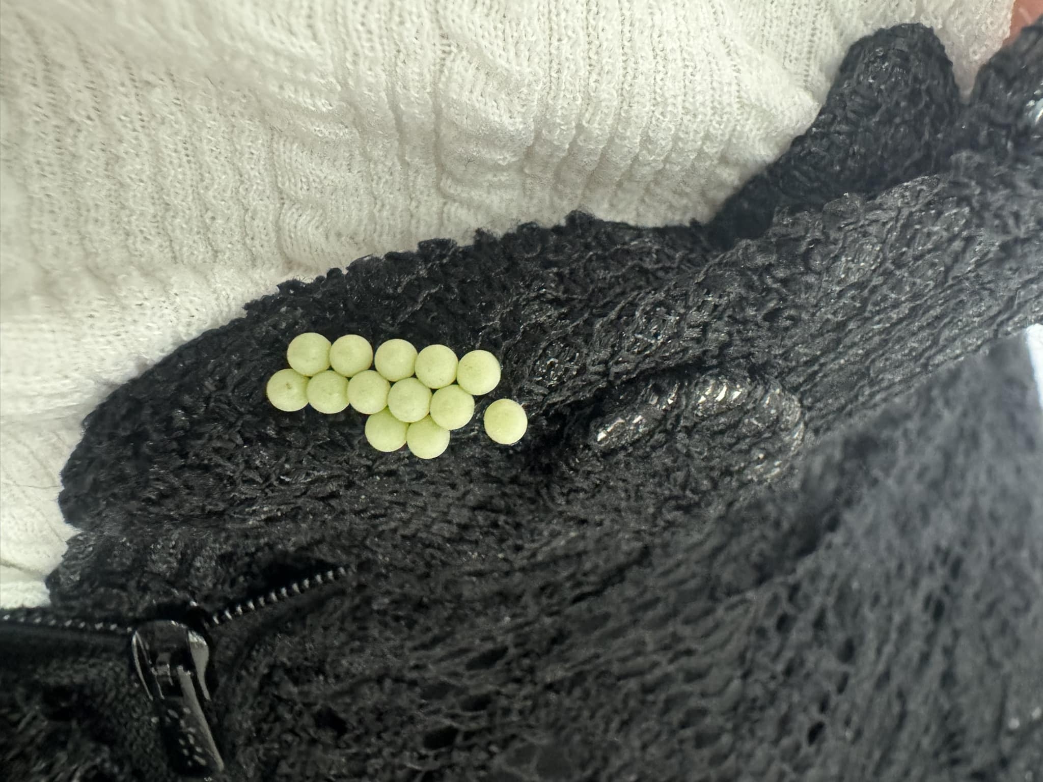 未提供相片說明。