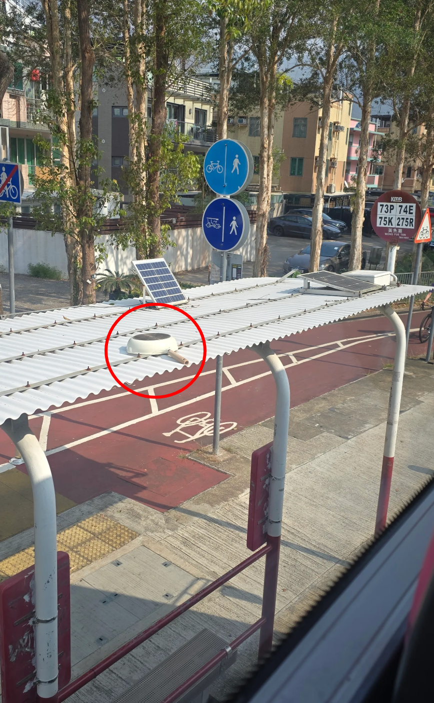 東張西望報料｜車站上蓋「無奇不有」　唔止有條魚仲有新淨煎Pan咁過癮？