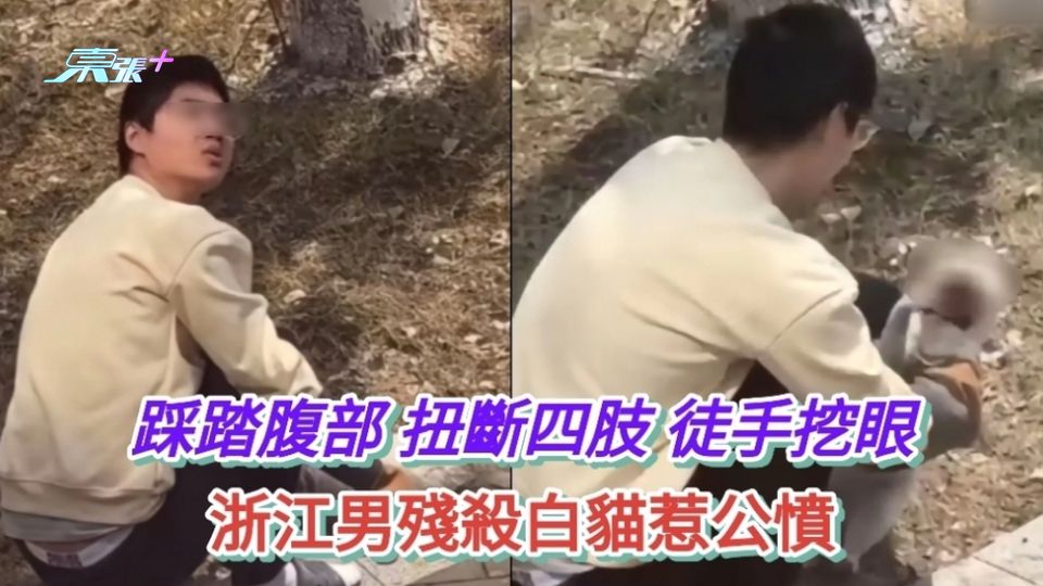 有片慎入|踩踏腹部 扭斷四肢 徒手挖眼 浙江男殘殺白貓惹公憤