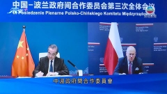王毅稱中方願深化與波蘭交往合作 俄烏問題上立場為勸和促談