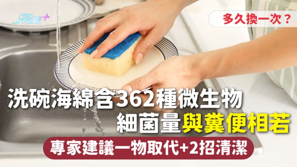 海綿清潔 | 洗碗海綿含362種微生物 細菌量與糞便相若 多久換一次？ 專家建議一物取代+2招清潔