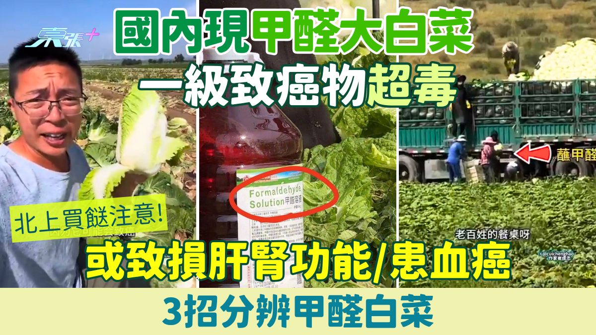 北上買餸注意｜國內現「甲醛大白菜」 一級致癌物超毒 或致損肝腎功能患血癌 3招分辨甲醛白菜