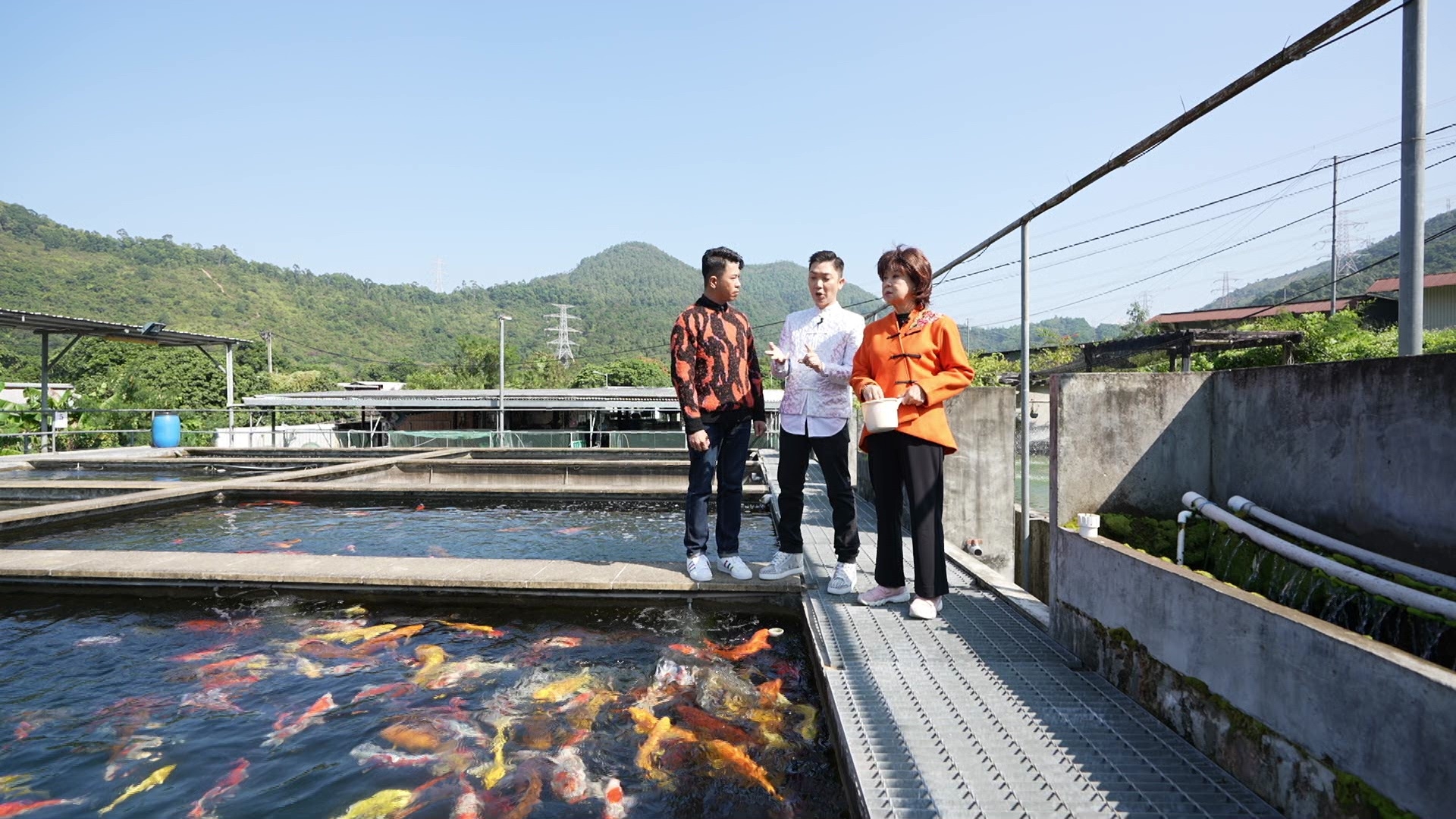 賞魚原來都有特別寓意。