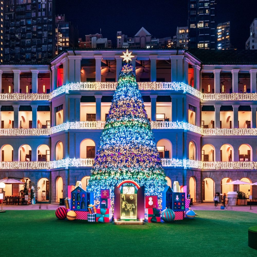 可能是聖誕樹的圖像