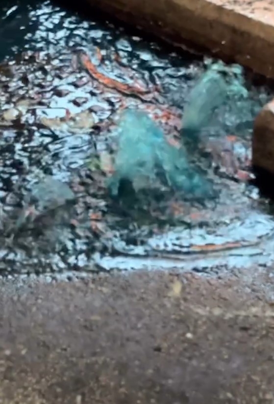 東張西望報料｜太子弼街水渠突冒神秘「藍色污水」　街坊好奇網上求原因