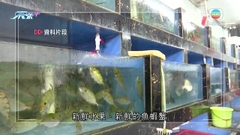 業界指陸路運輸逐步復常降低運輸成本 有助紓緩物價上升