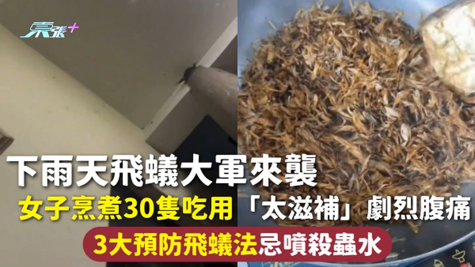 飛蟻侵襲 | 下雨天飛蟻大軍來襲 女子烹煮30隻吃用 「太滋補」劇烈腹痛 3大預防飛蟻法忌噴殺蟲水