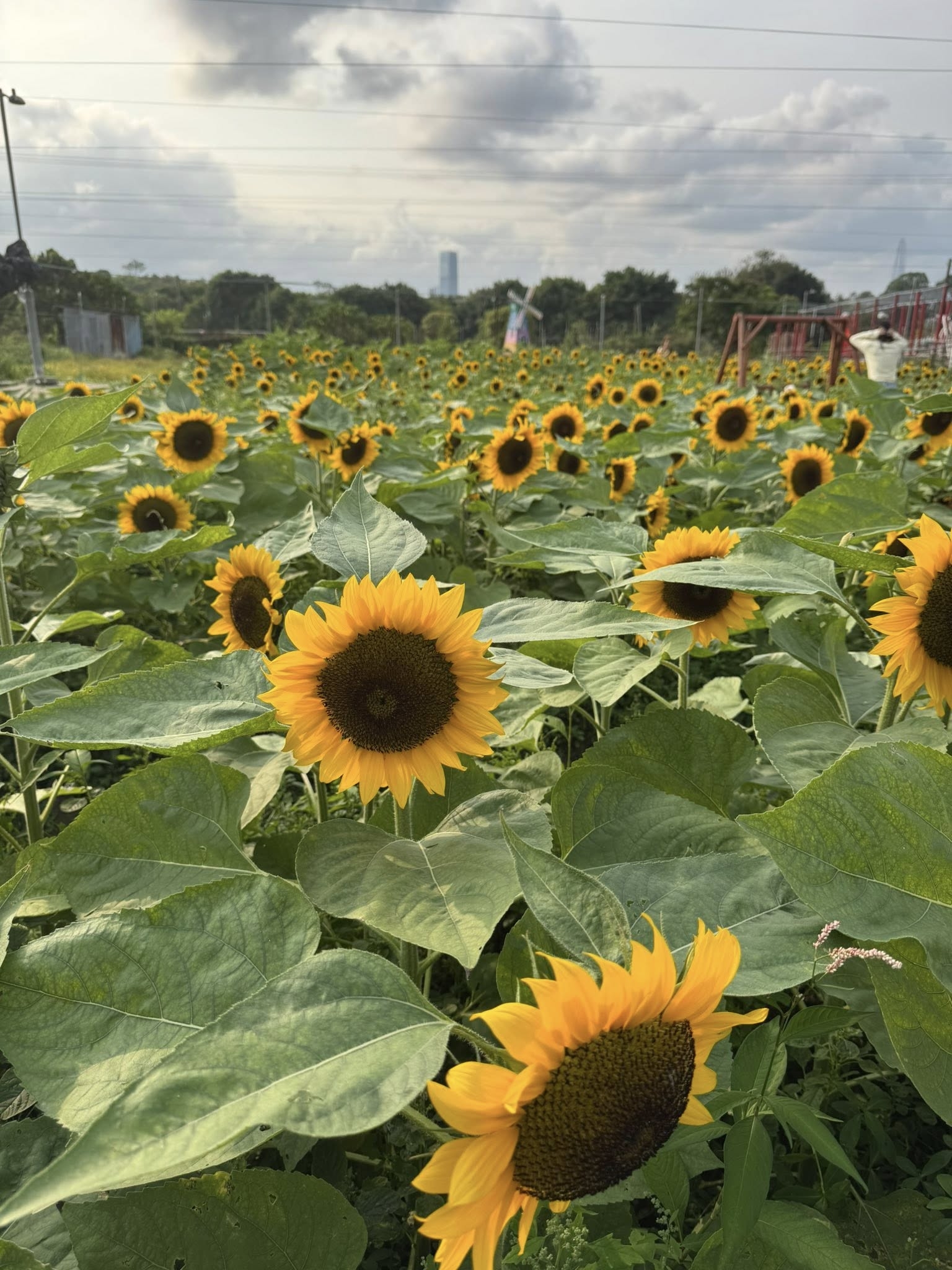 No photo description available.