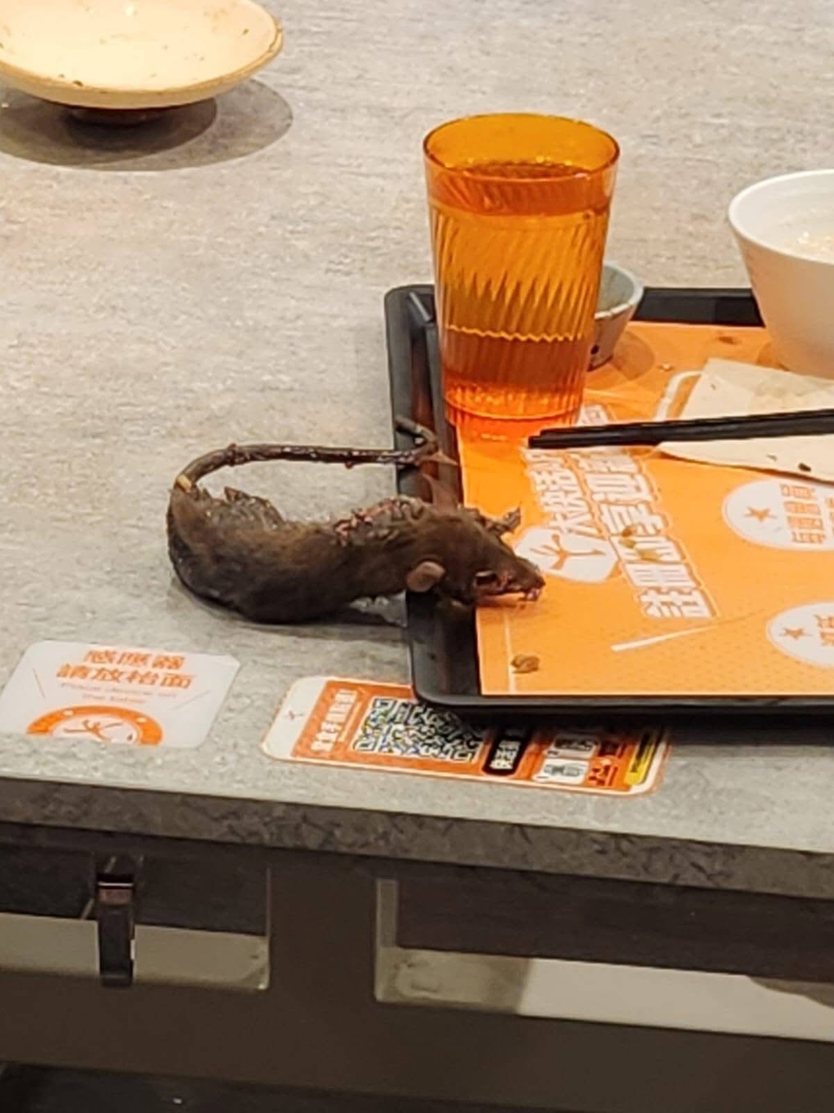 東張西望報料｜連鎖餐廳食飯死老鼠從天而降　「五星級大廚」出嚟招呼客人