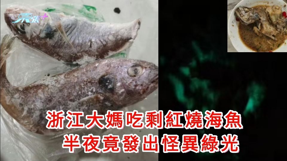 大媽吃剩紅燒海魚 半夜竟發出怪異綠光