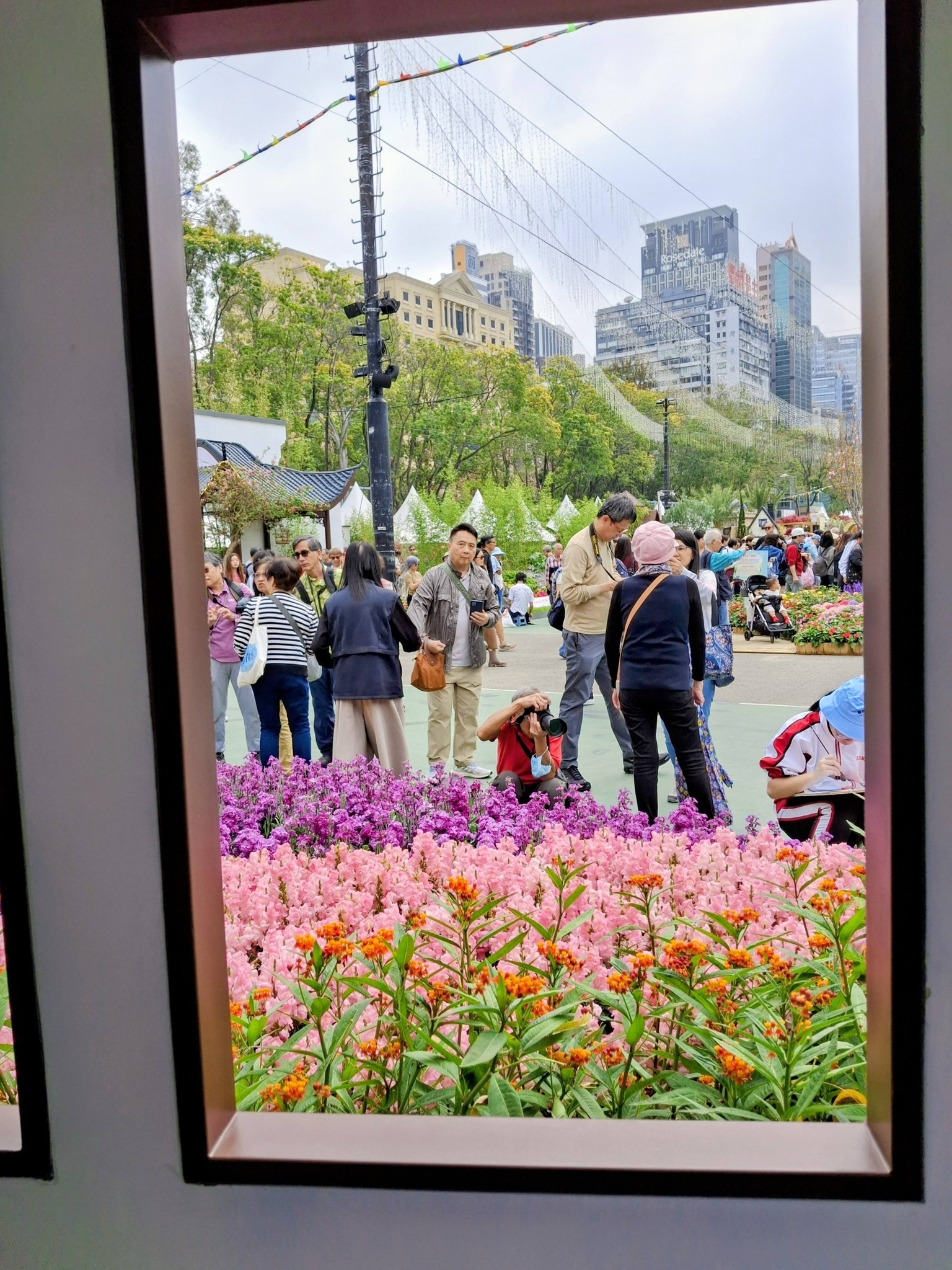 未提供相片說明。