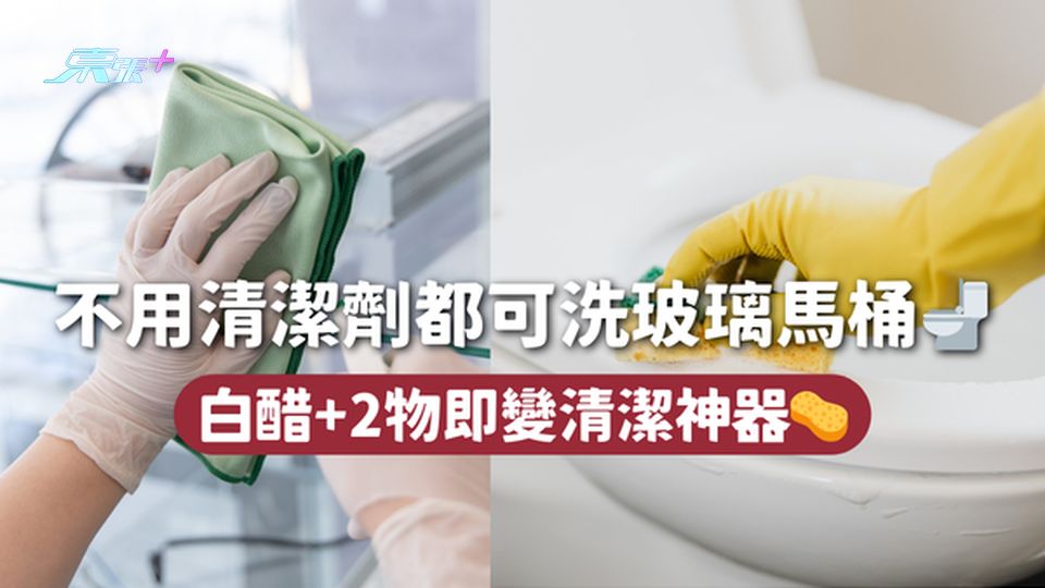 不用清潔劑都可洗玻璃馬桶🚽 白醋+2物即變清潔神器🧽