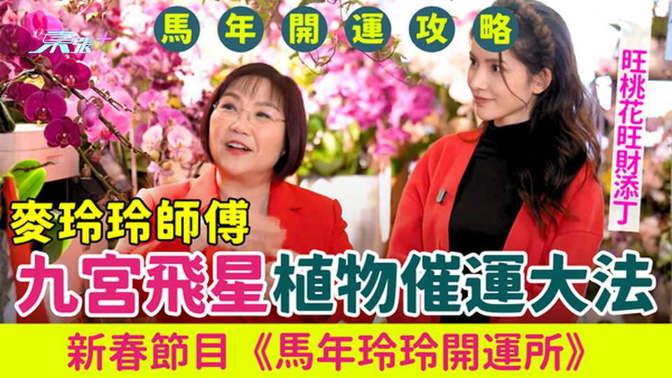 馬年開運攻略2026｜麥玲玲師傅九宮飛星植物催運大法 旺桃花旺財添丁 《馬年玲玲開運所》開運貼士