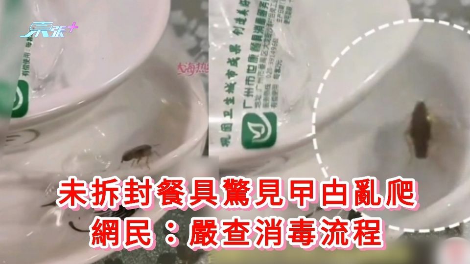 有片丨未拆封餐具驚見曱甴亂爬 網民：嚴查消毒流程
