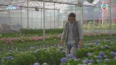 疫情下民眾留家時間增加 北京有市民藉照顧植物療癒身心