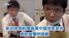 有片｜新加坡南航職員罵中國旅客是狗 南航發聲明道歉