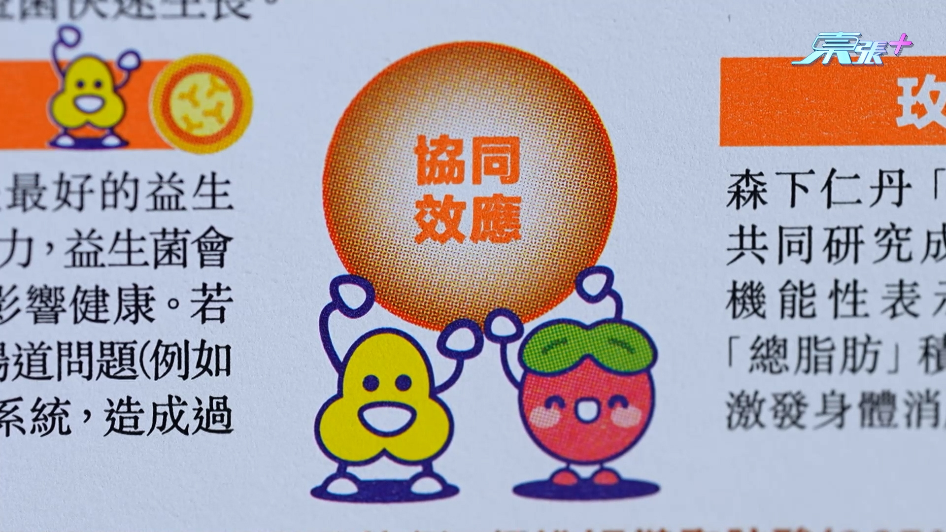註冊藥劑師更指，臨床證實這個配方有助減少腹部總脂肪積聚，達到先減內臟脂，再減皮下脂肪，「呢個成分仲獲得日本專利認可添。」