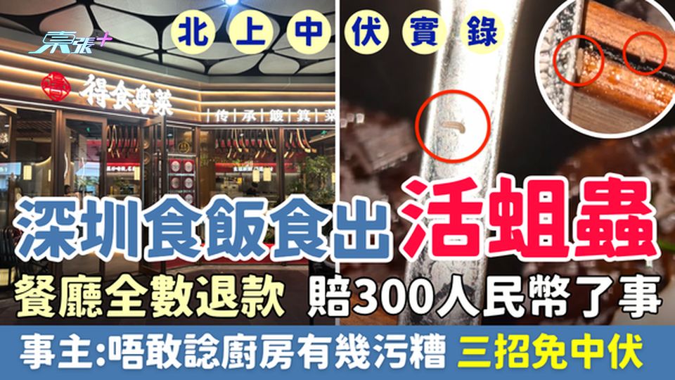 北上中伏實錄｜深圳食飯食出活蛆蟲 事主：唔敢諗廚房有幾污糟！餐廳全數退款＋賠300人民幣了事