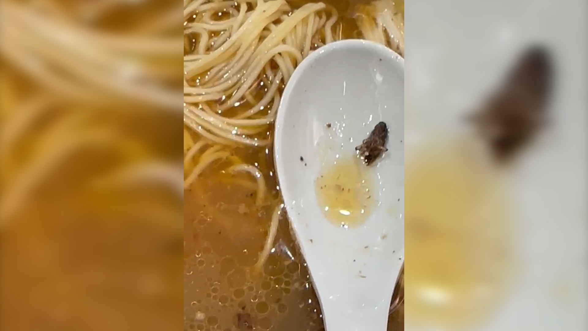 東張西望報料｜又有曱甴！尖沙嘴麵店食滷水麵中昆蟲　報料者：兩碗都有 (圖片由觀眾H小姐提供)