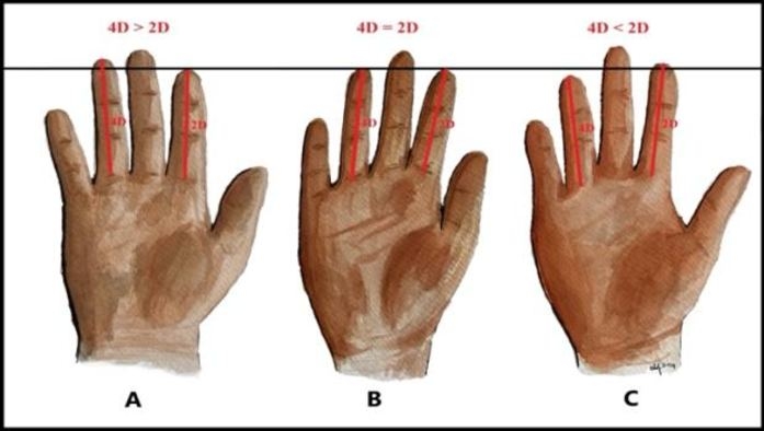 No photo description available.