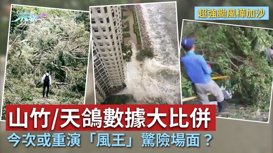 颱風樺加沙｜山竹/天鴿數據大比併　今次或重演「風王」驚險場面？