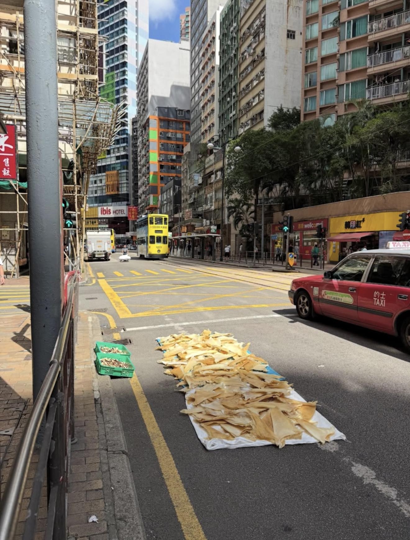 上環街頭地霸現身　有人行車路公然「曬海味」　網民挪喻：夠曬新鮮