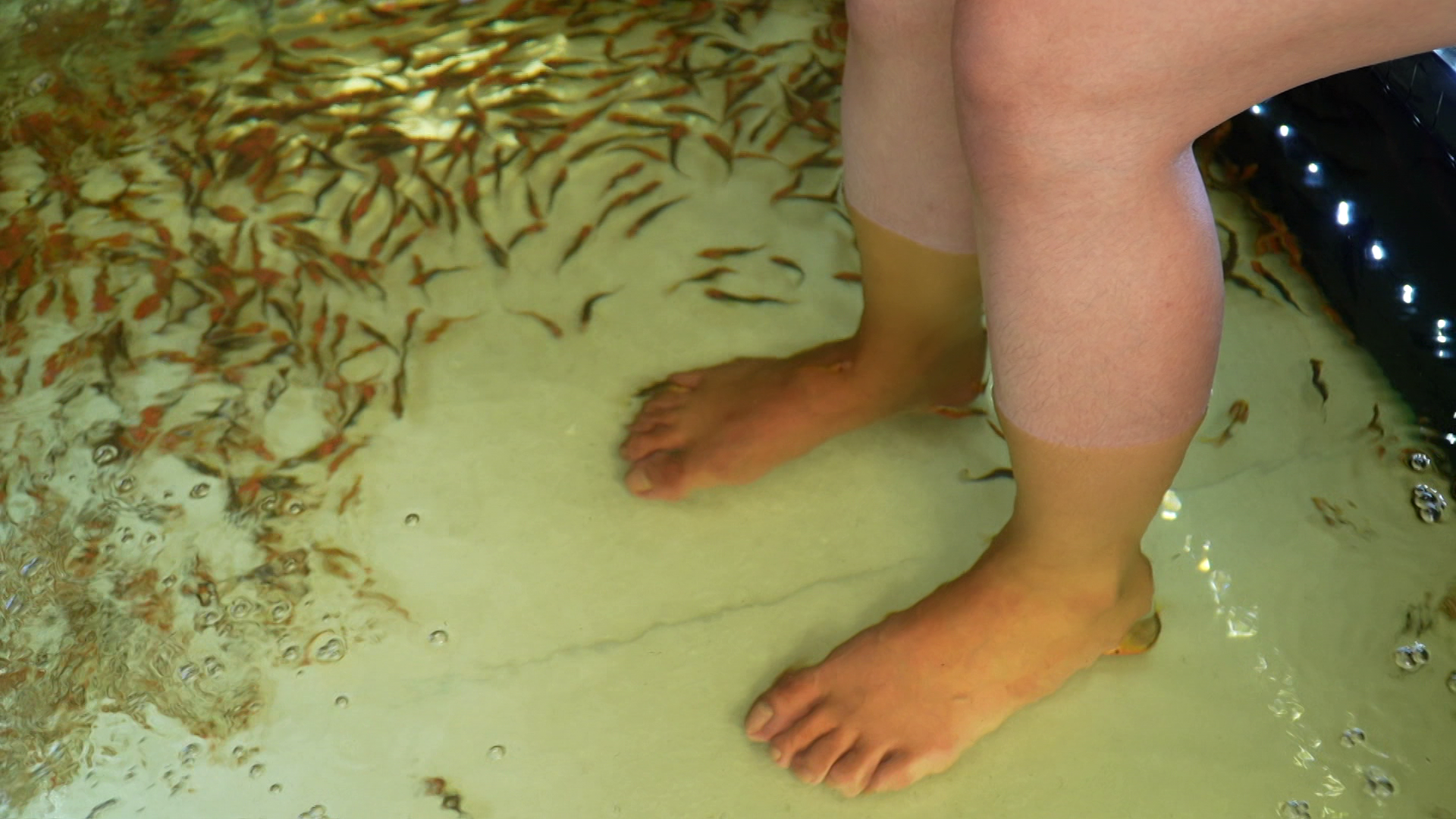 水門市場按摩店重新運作，門外的食腳皮魚又再活躍。