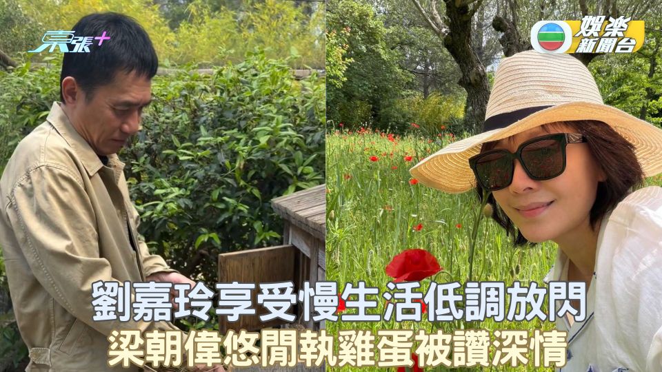 劉嘉玲享受慢生活低調放閃 梁朝偉悠閒執雞蛋被讚深情