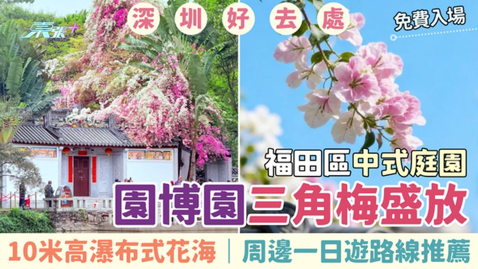 深圳好去處｜福田區中式庭園園博園三角梅盛放 免費入場｜10米高瀑布式花海｜周邊一日遊路線推薦