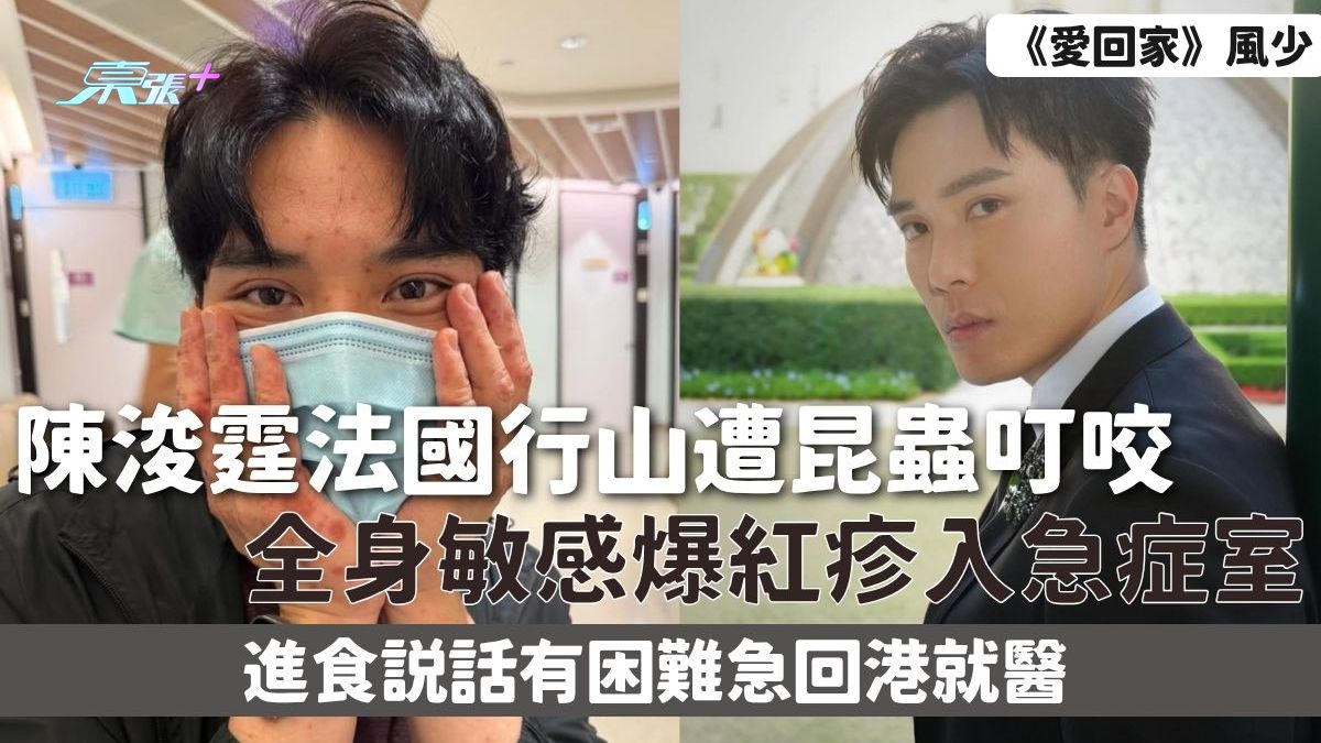 愛回家風少｜陳浚霆法國行山遭昆蟲叮咬 全身敏感爆紅疹入急症室 進食說話有困難急回港就醫