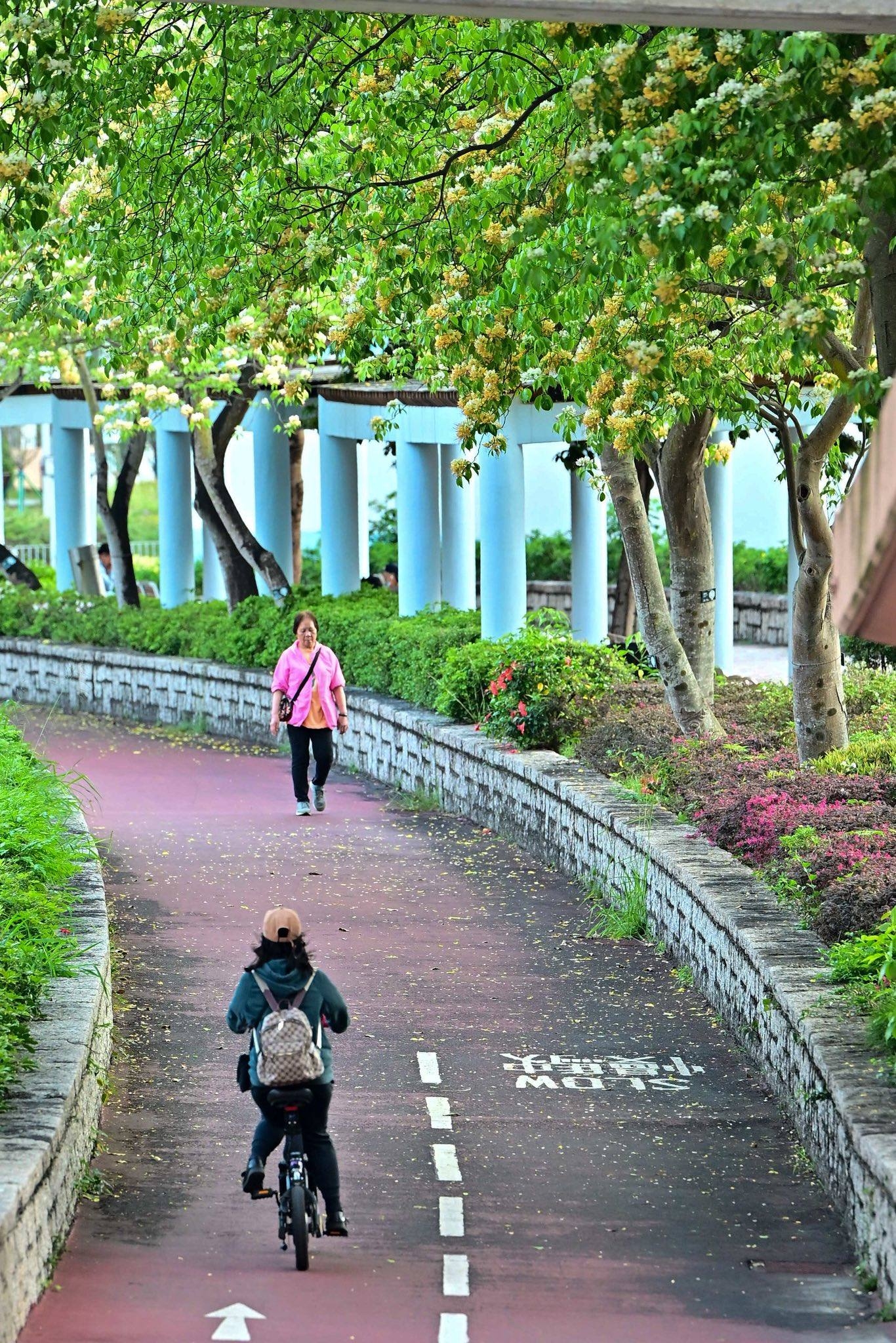 可能是一或多人、自行車、速克達、街道和道路的圖像