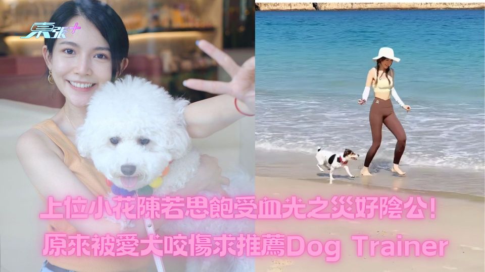 上位小花陳若思飽受血光之災好陰公!原來被愛犬咬傷求推薦Dog Trainer