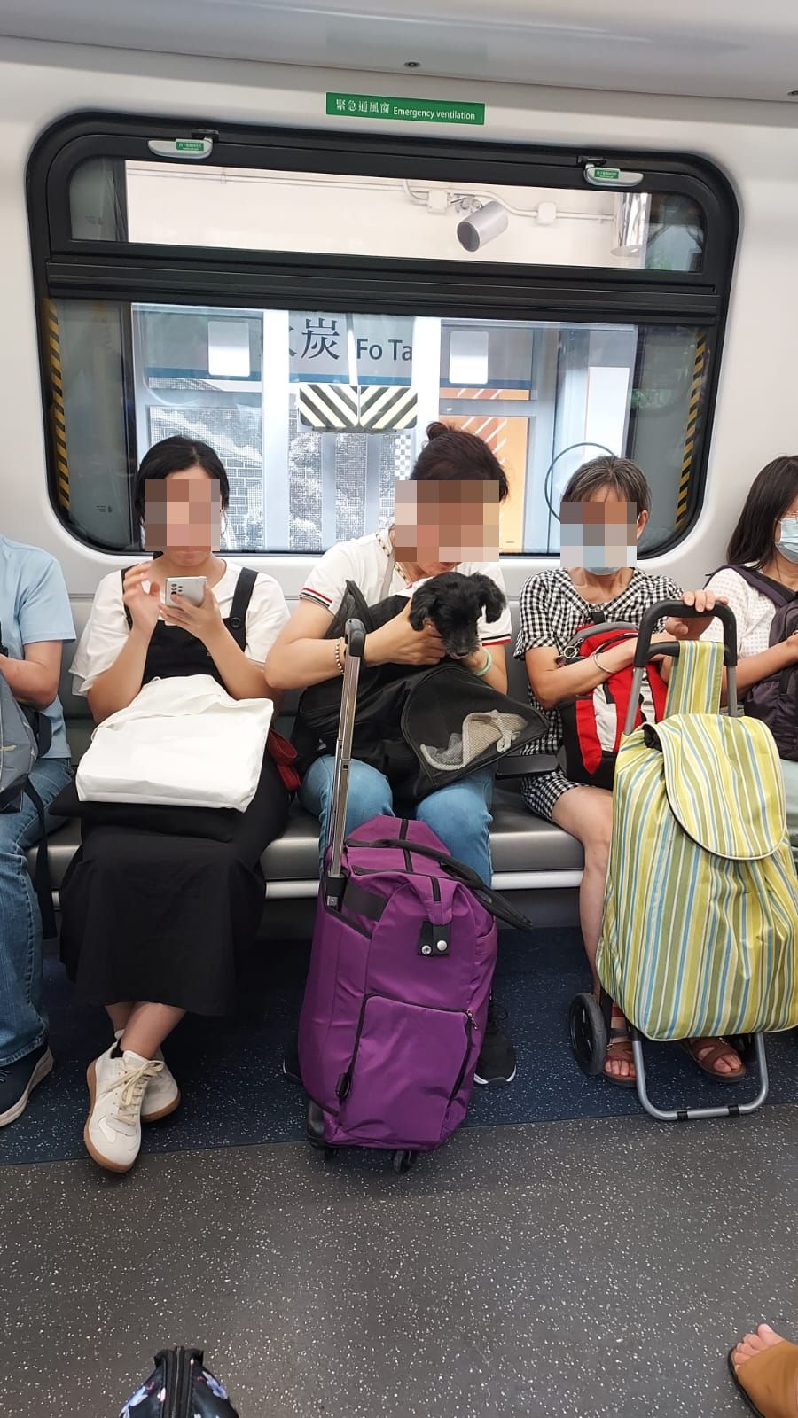 東鐵線乘客公然帶狗搭車更無入袋