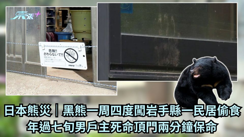 日本熊灾｜黑熊一周四度闯岩手县一民居偷食 年过七旬男户主死命顶门两分钟保命