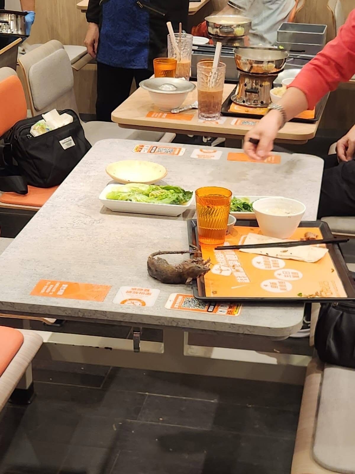 東張西望報料｜連鎖餐廳食飯死老鼠從天而降　「五星級大廚」出嚟招呼客人