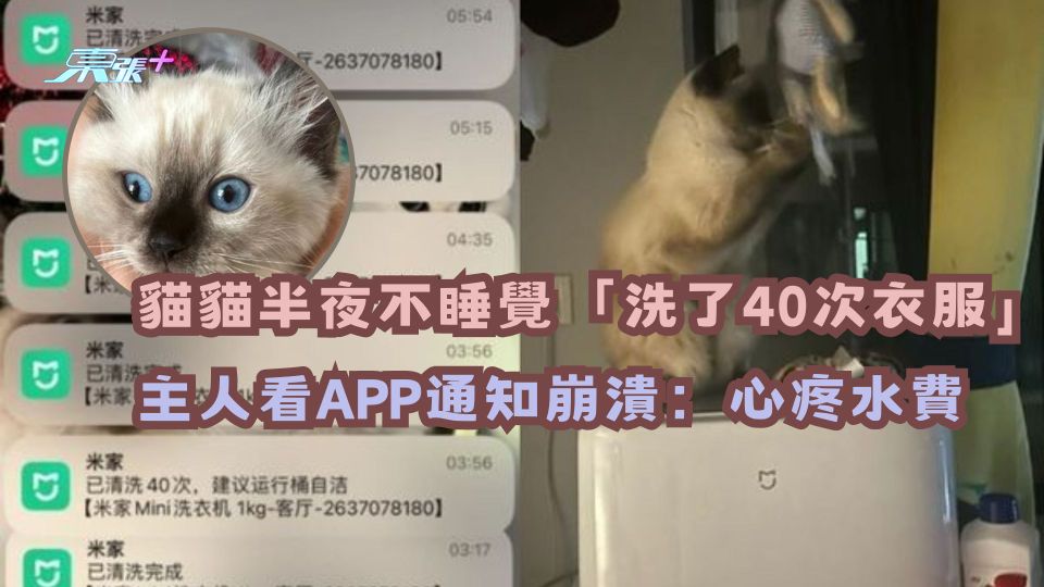 貓貓半夜不睡覺「洗了40次衣服」　主人看APP通知崩潰：心疼水費