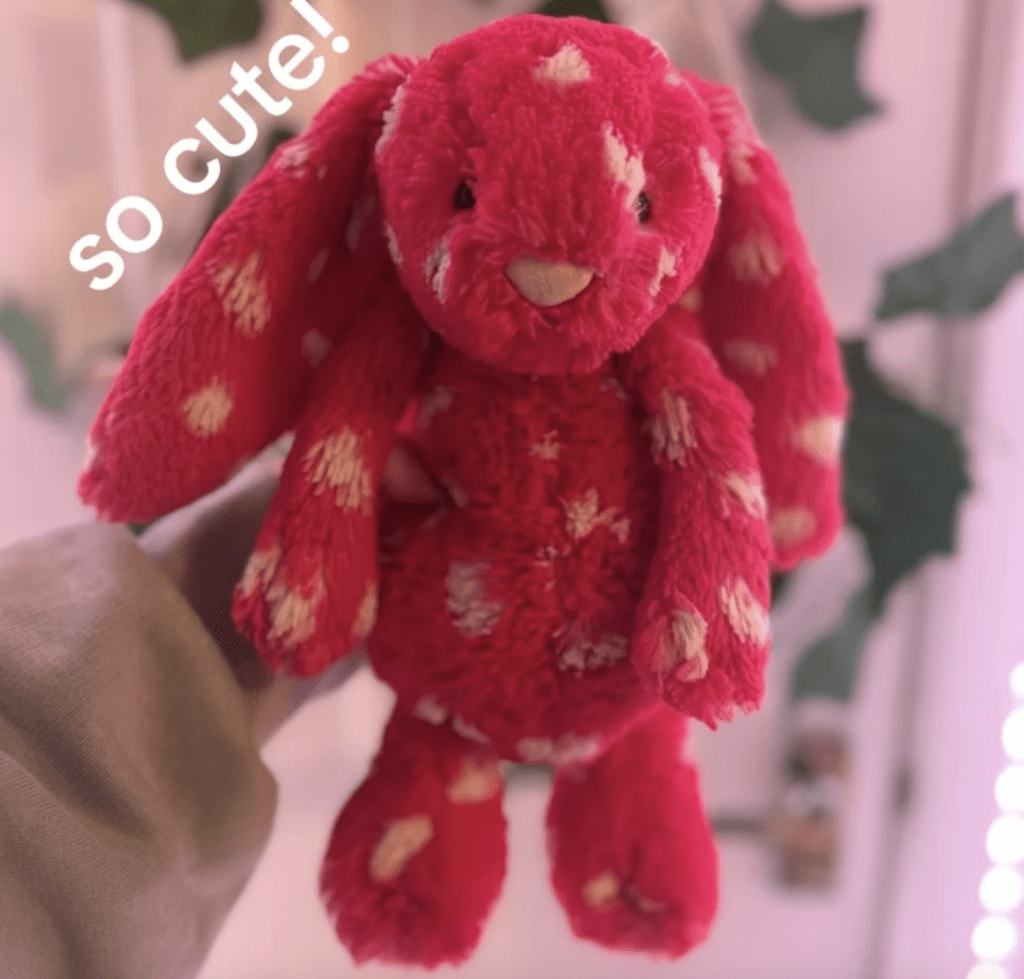 兩年前，羅拔絲在一家慈善商店偶然發現了一隻Jellycat經典小兔子，以20便士（約2港元）的低價買下，從此陷入收藏漩渦。（羅拔絲社交媒體圖片）