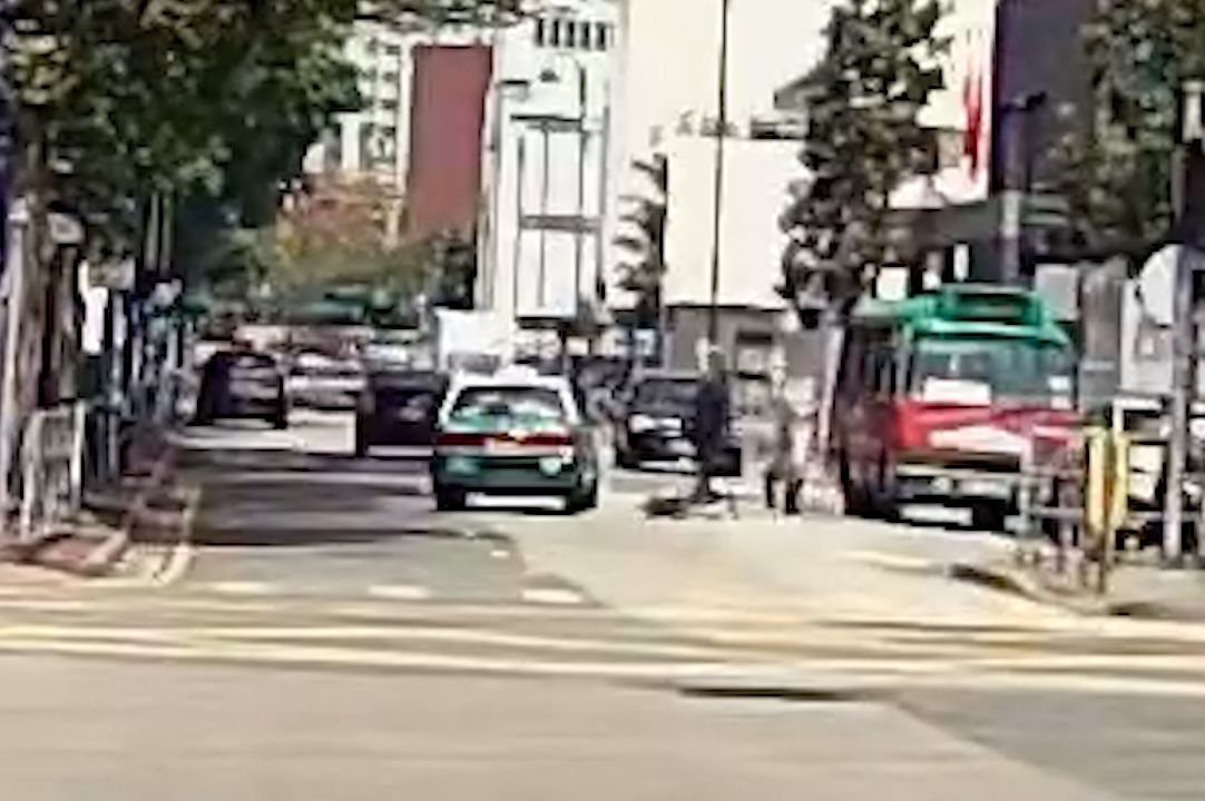 馬路MMA｜元朗單車友大戰綠的司機，互毆打到撞落小巴勁精彩。