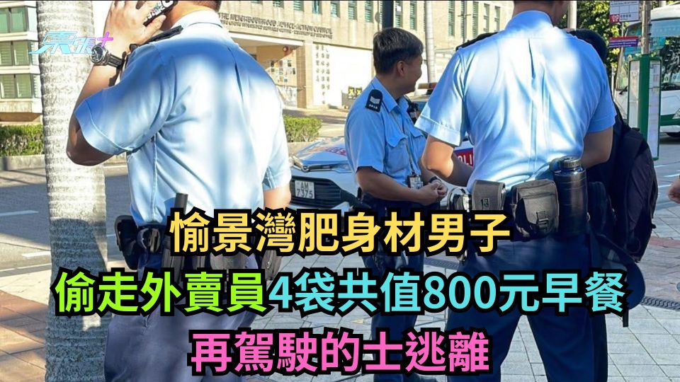 愉景灣肥身材男子偷走外賣員4袋共值800元早餐 再駕駛的士逃離