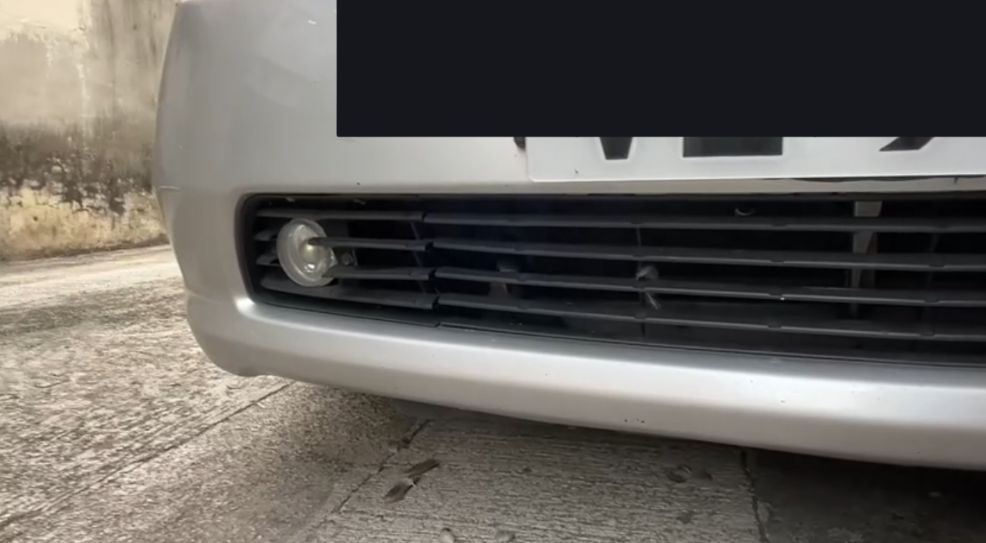 港車主泵把離奇藏「咕姑固」惹熱議　珠頸斑鳩竟是受保護動物