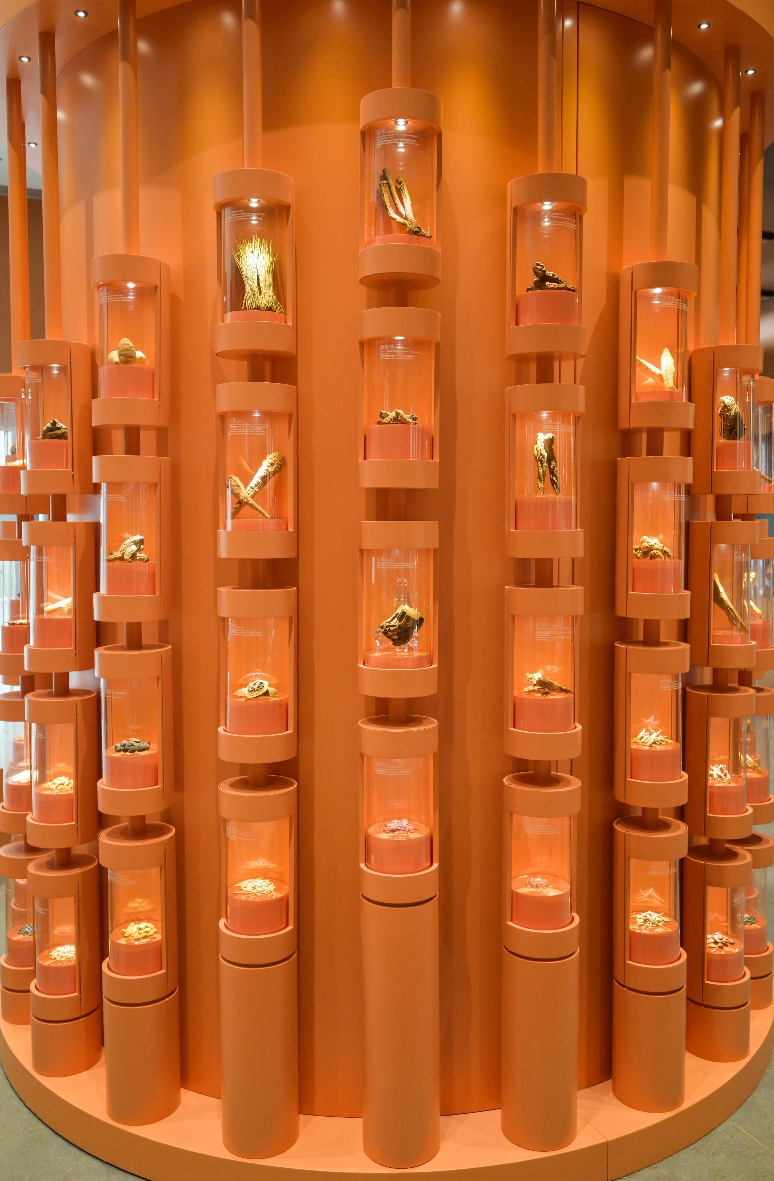 圖示由國家藥品監督管理局贈送，來自全國不同產區的常用及珍稀貴細中藥標本。（衛生署圖片）