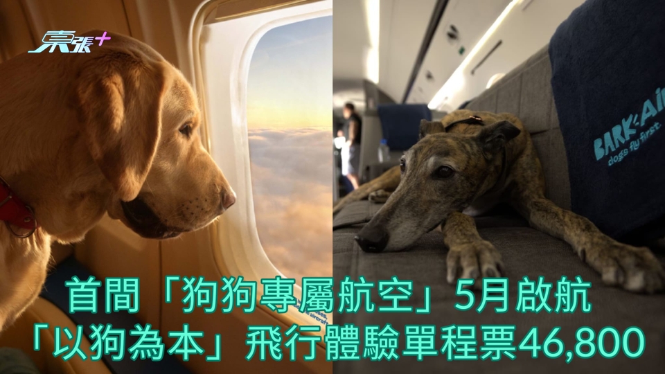 有片 | 首間「狗狗專屬航空」5月啟航 「以狗為本」飛行體驗單程票46,800