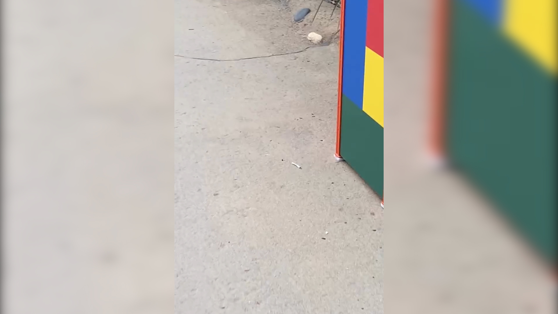 東張西望報料｜迪士尼男遊客公然吸煙兼掉煙頭　觀眾怒斥：破壞規矩